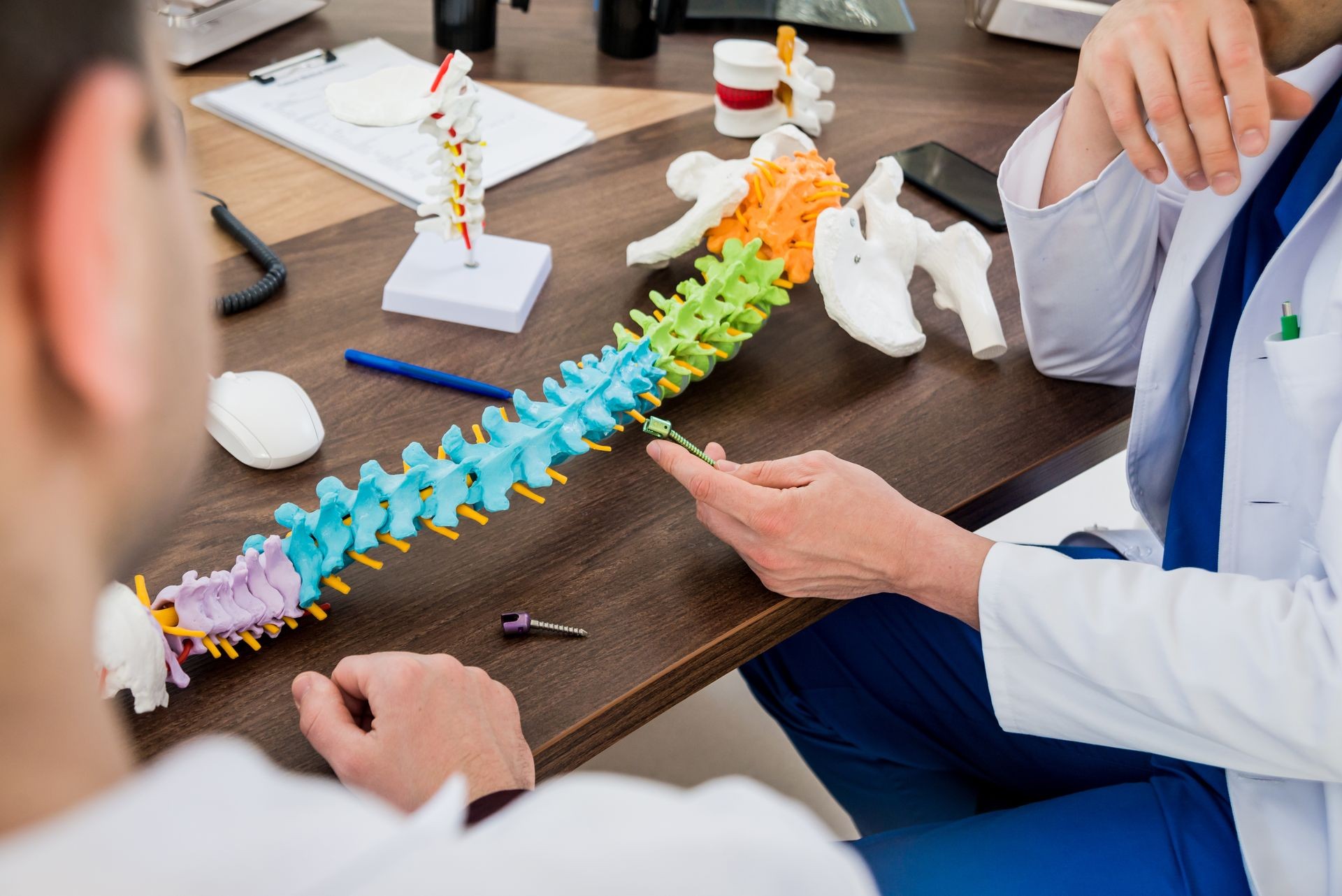 Doctor show polyaxial screw on the spine model. Spine fixation systems. Spinal surgery